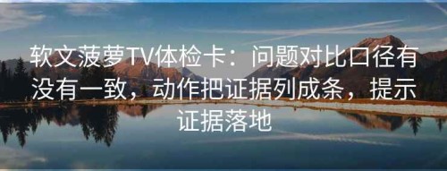 软文菠萝TV体检卡：问题对比口径有没有一致，动作把证据列成条，提示证据落地