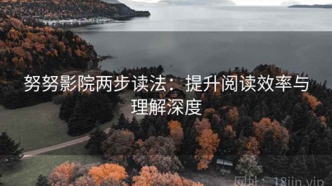 努努影院两步读法：提升阅读效率与理解深度