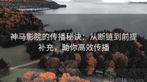 神马影院的传播秘诀：从断链到前提补充，助你高效传播