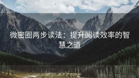 微密圈两步读法：提升阅读效率的智慧之道
