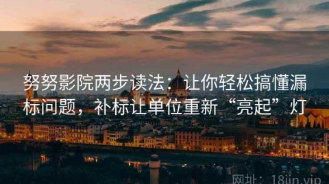 努努影院两步读法：让你轻松搞懂漏标问题，补标让单位重新“亮起”灯