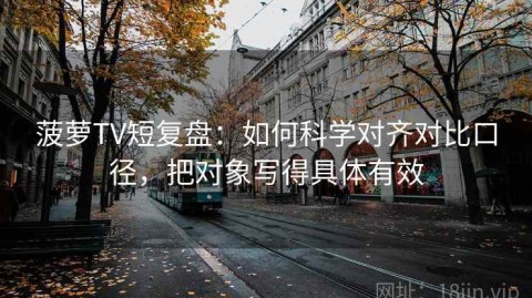 菠萝TV短复盘：如何科学对齐对比口径，把对象写得具体有效