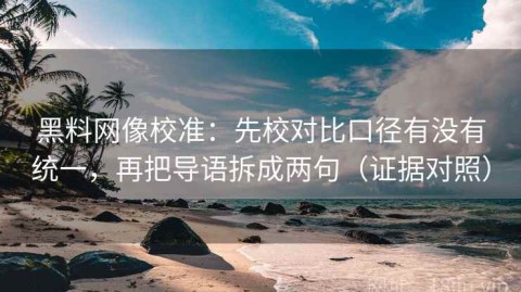 黑料网像校准：先校对比口径有没有统一，再把导语拆成两句（证据对照）