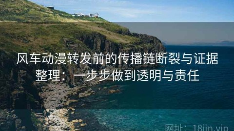 风车动漫转发前的传播链断裂与证据整理：一步步做到透明与责任