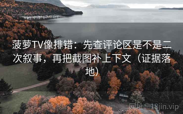 菠萝TV像排错：先查评论区是不是二次叙事，再把截图补上下文（证据落地）